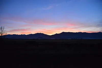 DSC_5856 (Large).JPG